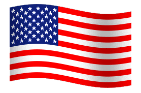 The American Flag