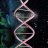 EVOLVE